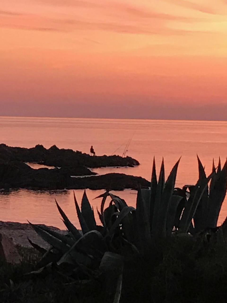 Hotel Thalassa Cargèse Kültér fotó