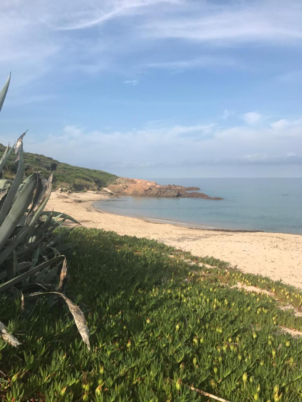 Hotel Thalassa Cargèse Kültér fotó