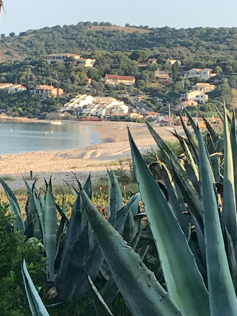 Hotel Thalassa Cargèse Kültér fotó