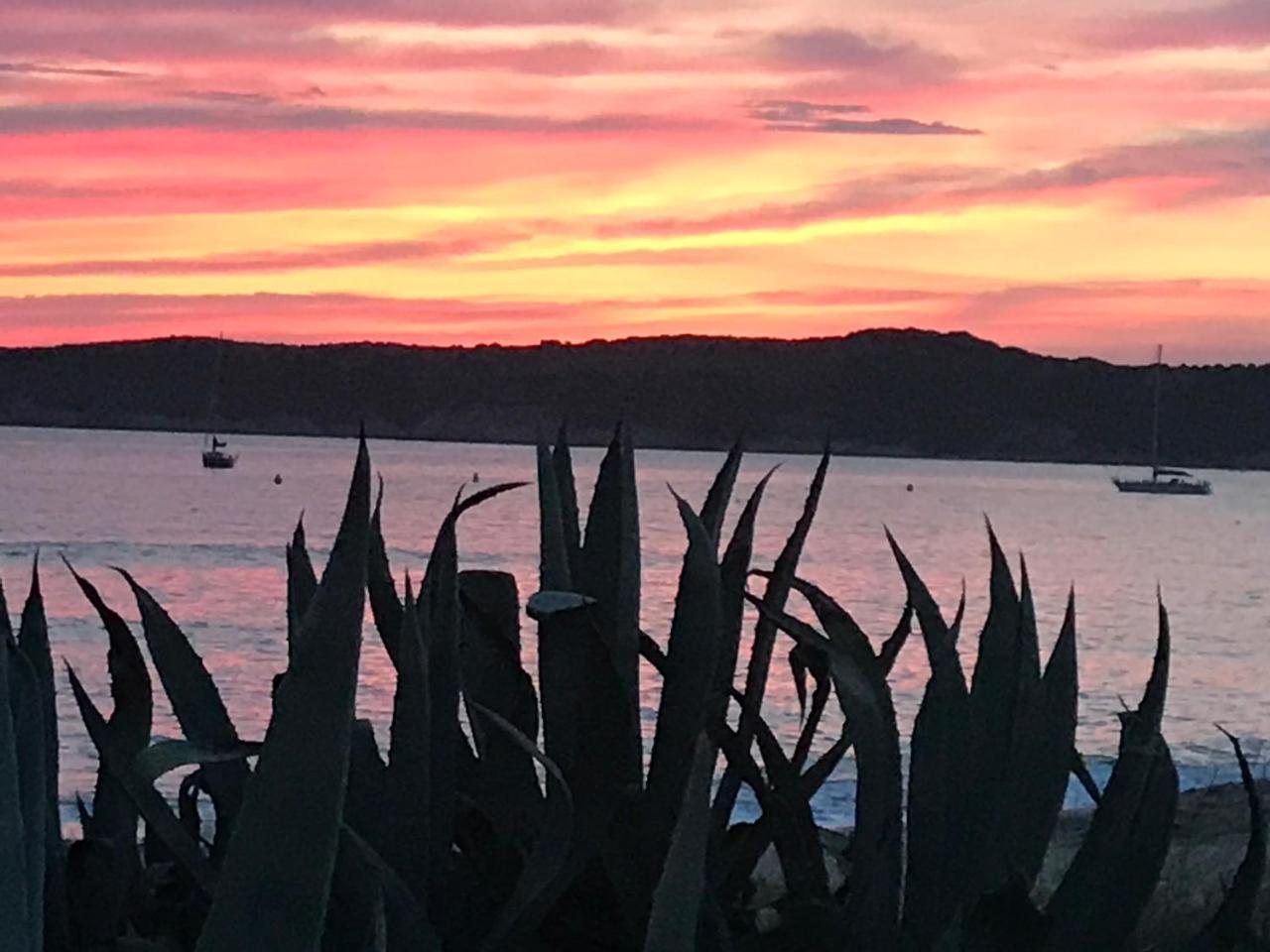 Hotel Thalassa Cargèse Kültér fotó