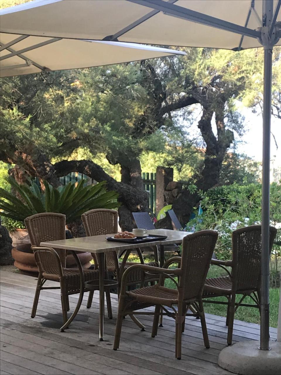 Hotel Thalassa Cargèse Kültér fotó